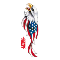 LT USA EAGLE LEFT DECAL