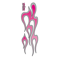 LT PINK FLAMES LEFT DECAL