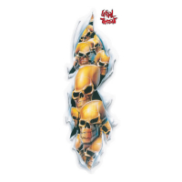 LT SHRED SKULL LONG DECAL