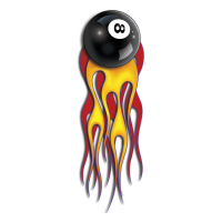 LT FLAMING 8-BALL LT DECAL