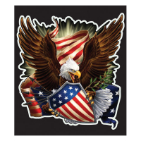 LT SHIELD EAGLE DECAL