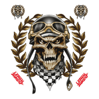 LT RACING SKULL DECAL