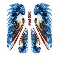 LT USA FEATHER EAGLE DECAL