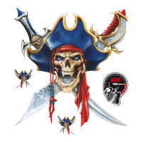 LT PIRATE SKULL DECAL