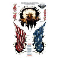 LT USA EAGLE DECAL KIT