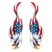 LT USA EAGLE DECAL