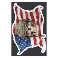 LT USA SKULL DECAL