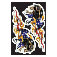 LT RACE SKULL USA DECAL