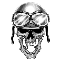 LT HELM SKULL DECAL