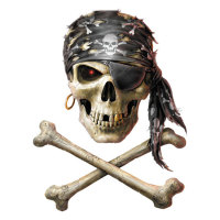 LT PIRATE SKULL DECAL