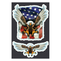 LT USA EAGLE DECAL