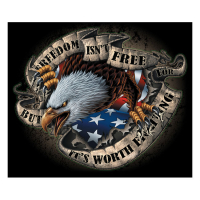 LT FREEDOM ISN''T FREE DECAL