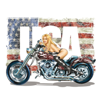 LT MISS RIDE USA DECAL