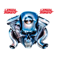 LT CHROME ENGINE HEAD DECAL