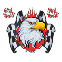 LT CHECKERED FLAG EAGLE DECAL