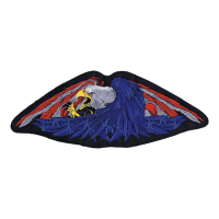 LT USA FEATHER EAGLE PATCH