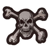 LT SKULL N BONES PATCH