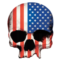 LT MINI DECAL USA SKULL