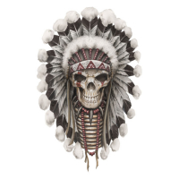 LT MINI DECAL INDIAN SKULL