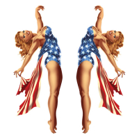 LT MINI DECAL USA PIN UP GIRL