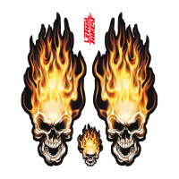 LT HEAD ON FLAME SKULL DECAL SET