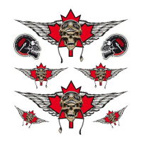 LT FLYING CANADA SKULL DECAL