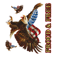 LT PROUD N FREE EAGLE DECAL