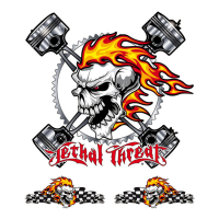 LETHAL THREAT RACING SKULL DECAL