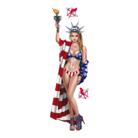 LT LIBERTY PIN UP DECAL