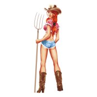 LT FARM GIRL DECAL