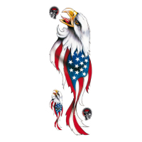 LT USA EAGLE LEFT DECAL