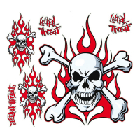 LT FLAME SKULL N CROSS BONES DECAL