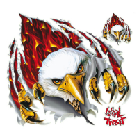 LT FLAME RIP EAGLE DECAL