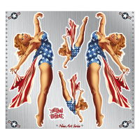 LT USA PIN UP GIRL DECAL