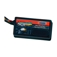 WILD THINGS FUEL INJECTION CONTROLLER