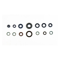 ATHENA, ENGINE OIL SEAL KIT