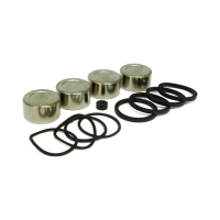 CALIPER PISTON & SEAL KIT