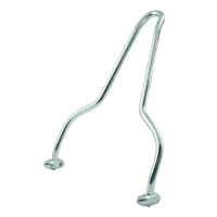 PAUGHCO SISSY BAR FAT TIRE