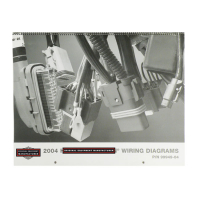 WIRING DIAGRAM WALL CHARTS 2004 MODELS