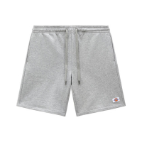 DICKIES CHAMPLIN SHORT GREY MELANGE