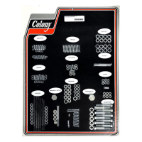 COLONY MOTOR SCREW SET