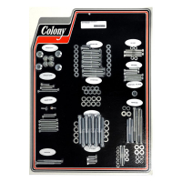 COLONY MOTOR SCREW SET