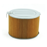 MIW, REPLACEMENT AIR FILTER H1270