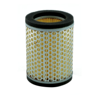 MIW, REPLACEMENT AIR FILTER K2168