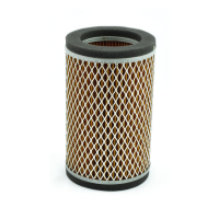 MIW, REPLACEMENT AIR FILTER K2175