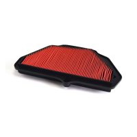 MIW, REPLACEMENT AIR FILTER K2200