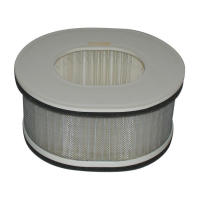 MIW, REPLACEMENT AIR FILTER Y4180