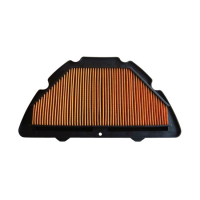 MIW, REPLACEMENT AIR FILTER Y4204