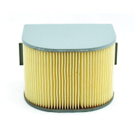 MIW, REPLACEMENT AIR FILTER Y4231