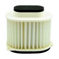 MIW, REPLACEMENT AIR FILTER Y4248